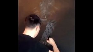 Картины на коже