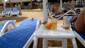 SEA STAR BEAU RIVAGE HURGHADA ❤ فندق سي ستار بوريفاج الغردقة ❤ горящие путевки в египет ❤ Си Стар