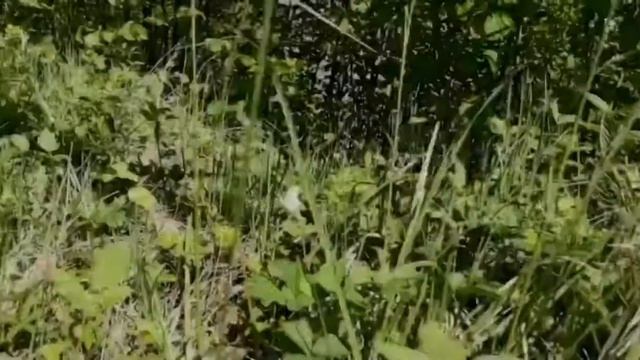 Водопад Девичьи слёзы
