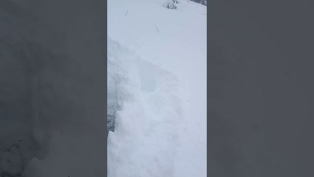 снегоход буран по глубокому снегу не едет смотреть онлайн