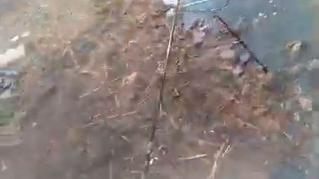 усть быстрый смотреть онлайн