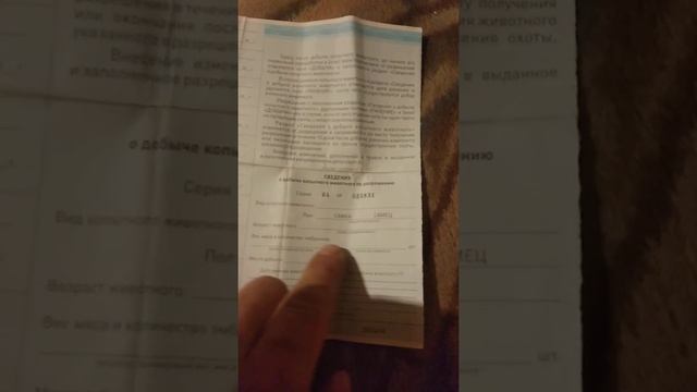 охота на кабана ,косулю,лося.как закрыть разрешение на добычу