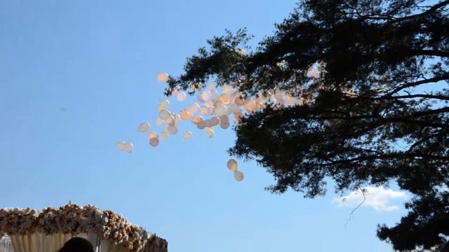 Запуск шаров на свадьбе. Все желания обязательно сбудутся!