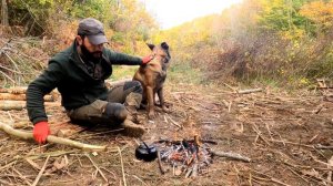 Log Cabin - Building Primitive Forest House from Start to Finish, Bushcraft Camping, DIY, ASMR