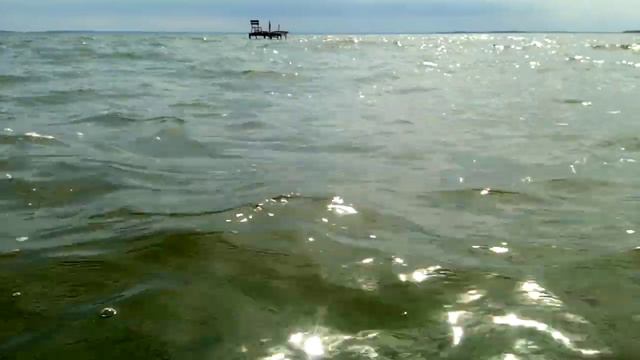 Приморская бухта. Отчёты. смотреть онлайн