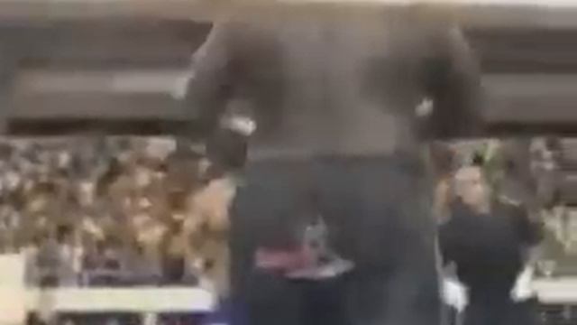 Zuluzinho vs James Adler YouTube смотреть онлайн