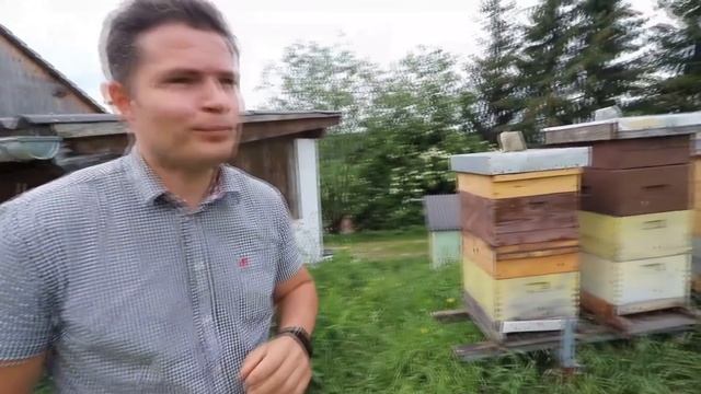 Карл #Пернер и его #пасека в Австрийских горах: #карника (АСА) Часть #2 смотреть онлайн