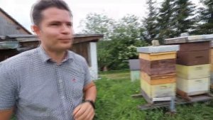 Карл #Пернер и его #пасека в Австрийских горах: #карника (АСА) Часть #2