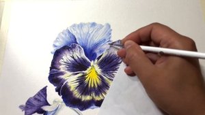 Рисуем акварелью цветок виолы. Урок рисования. Мастер-класс акварель.