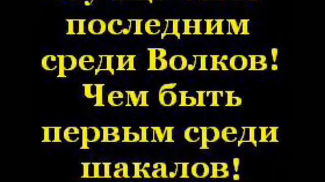 чечен Мahdi - 95.mp4 смотреть онлайн