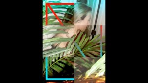 Chelsea Charms Tight Dress Fashion Shoot