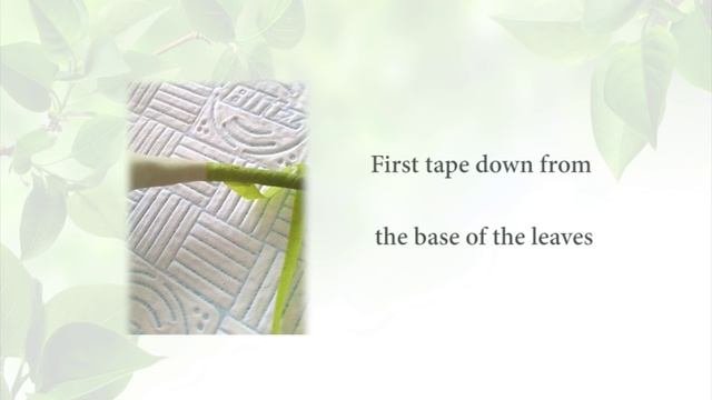 How To Make A Gumpaste Parrot Tulip Tutorial Part 2 - Parrot Tulip Leaves