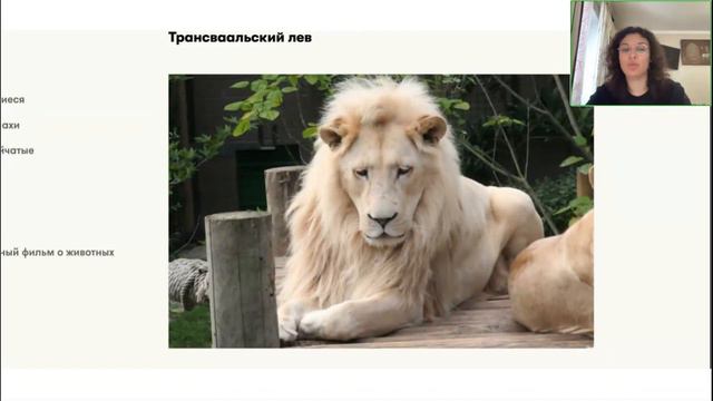 География 5 класс. Открытый урок 04.07.2023 смотреть онлайн