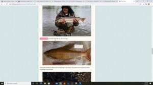 Russian Fishing 4 Yama River News!  Fly Fishing Speculation and more ramblings with MDawg