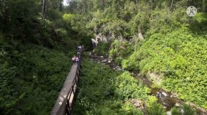 Авторская экскурсия по Телецкому озеру | 14.07.2021 г.