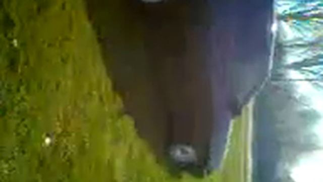 продам или обменяю ! ваз 2110 смотреть онлайн