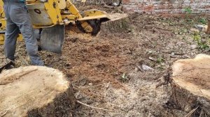 Удаление пней пнедробилкой