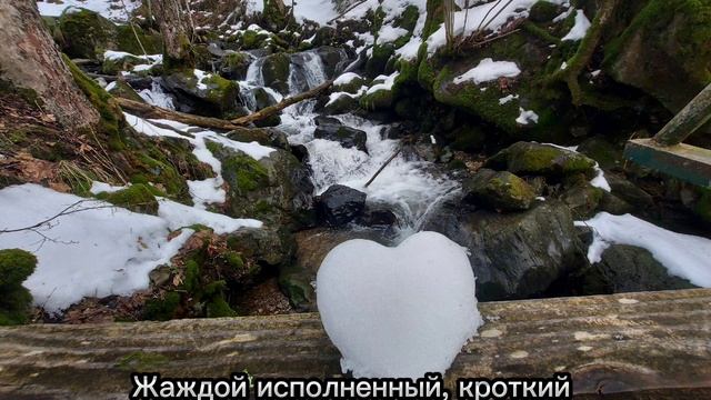 ЧУВСТВА... в заглавных буквах... Нежный стих. НатаЛия ПодГорная. Читайте первые буквы строчек..