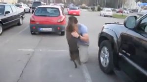 Встреча собаки с хозяином после долгой разлуки.