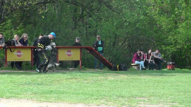 Кубок Москвы 2016 г. по ОКД и ЗКС (камера 2). смотреть онлайн