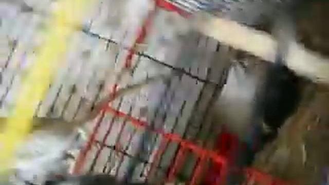 Мир ПЕСЧАНок