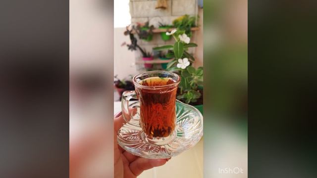 Каркаде шайдың пайдасы. #қазақша #пайдалыкеңес #лайфхак смотреть онлайн