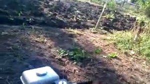 Мотоблок Салют 5 Honda GX 160