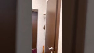 Санаторий Янган Тау, обзор на стандартный номер, корпус 4#санаторий#янгантау#отдыхайкруглыйгод