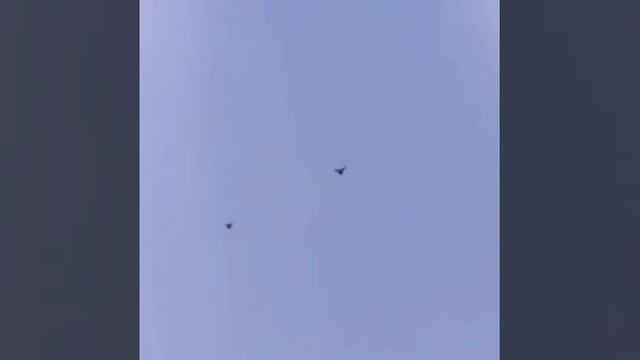 Armeńskie bije / игра Бойные голуби Армении смотреть онлайн