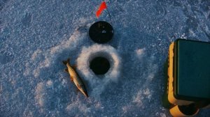 Улов обеспечен в любую погоду! Зимние прикормки для хищной и белой рыбы своими руками