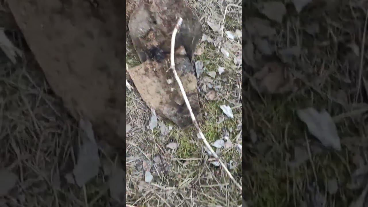 Металокоп.Лопатный коп смотреть онлайн