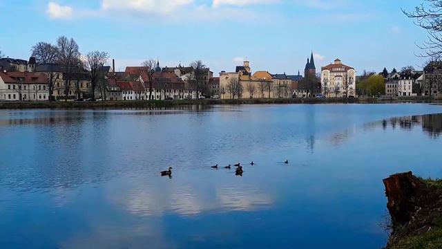 Inselzoo Altenburg - Thüringen - Deutschland am 19. März 2020. Natur Genießen am See. смотреть онлайн