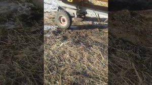 обзор на тракторный прицеп 2ПТС4