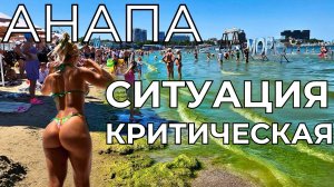 Анапа ЦЕНЫ. УДРУЧАЮЩЕЕ положение в 2024! Какой выход у туристов?