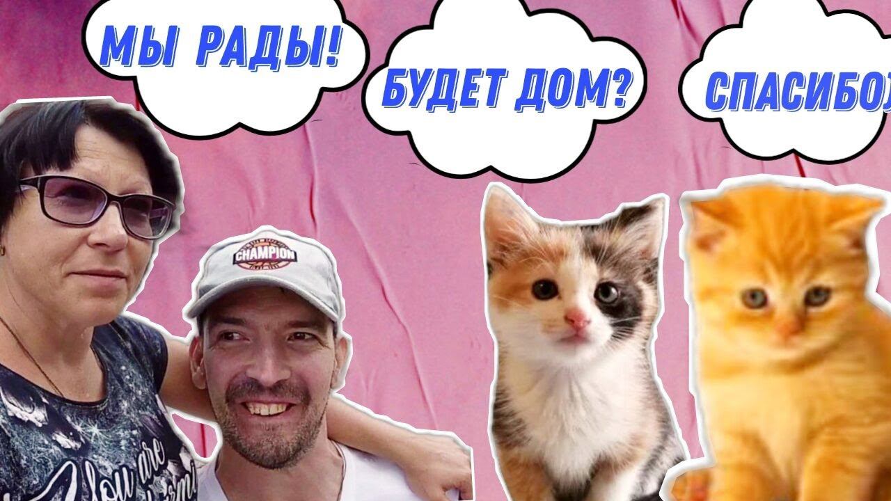 Двое КОТЯТ нашли ДОМ / Небольшая прогулка по Алчевску. Влог