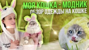 Обзор одежды для кошек ?