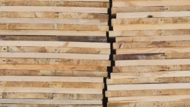 Wood Dust Exposure Hazards смотреть онлайн