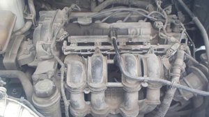 Двигатель Ford для Focus III 2011 после