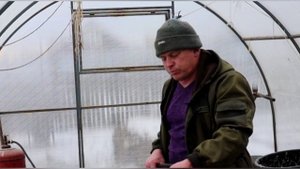 Деревенская нудная рутина Трепаю перепелок