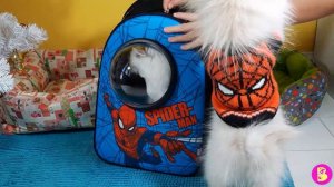 БОЛЬШАЯ РАСПАКОВКА** ПОСЫЛКА для ВИКИ ЛАКИ