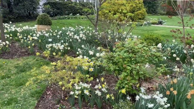 🌸 What's Blooming Now - May 2023 🌸 смотреть онлайн