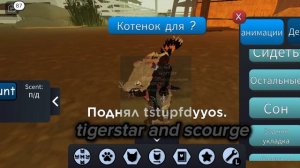 баг с ушами в котах воителях