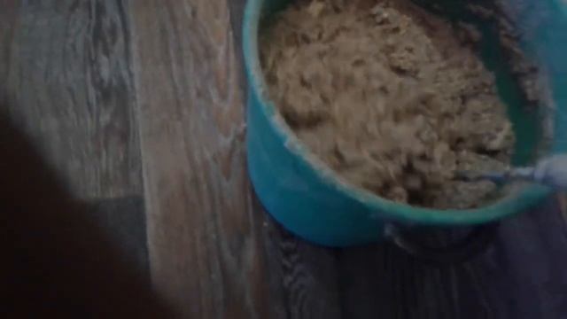 вьетнамские свиньи вес и кормление