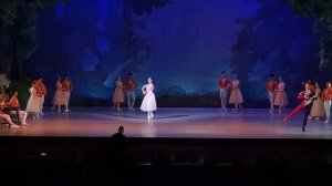 Вариация из па де труа балета«Лебединое Озеро»,исполняет Адамова Мадина Ахмедовна,Узбекистан,ноя202