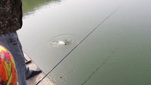 Рыбалка на поплавок. Рыбалка в Корее. 낚시 임베트로