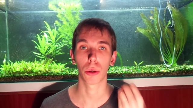 Содержание Радужного Краба в домашнем аквариуме Знакомство с Зоей смотреть онлайн