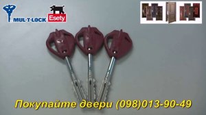 Входная дверь с Итальянским силовым замком mul-t-lock esety omega