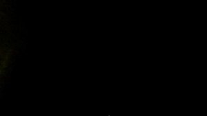 Подводная охота 07.09.2019 река Проня, Новомичуринск