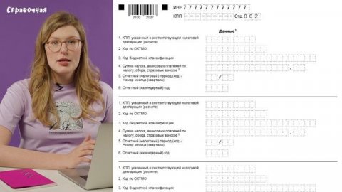 Как заполнить уведомление ЕНП на упрощёнке | Шаблон и образец