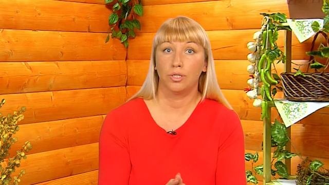 КАК ПРАВИЛЬНО ВЫБРАТЬ МИНЕРАЛЬНЫЕ УДОБРЕНИЯ
